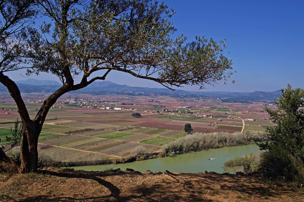 Ca La Maria Mora d'Ebre Exterior foto